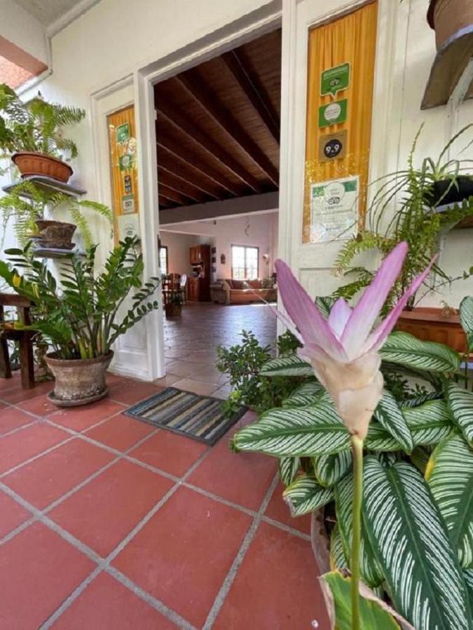 Villa Caribbean Dream Vieux Fort Εξωτερικό φωτογραφία