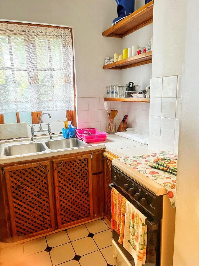 Villa Caribbean Dream Vieux Fort Εξωτερικό φωτογραφία