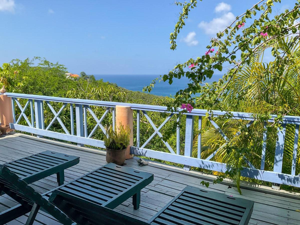 Villa Caribbean Dream Vieux Fort Εξωτερικό φωτογραφία