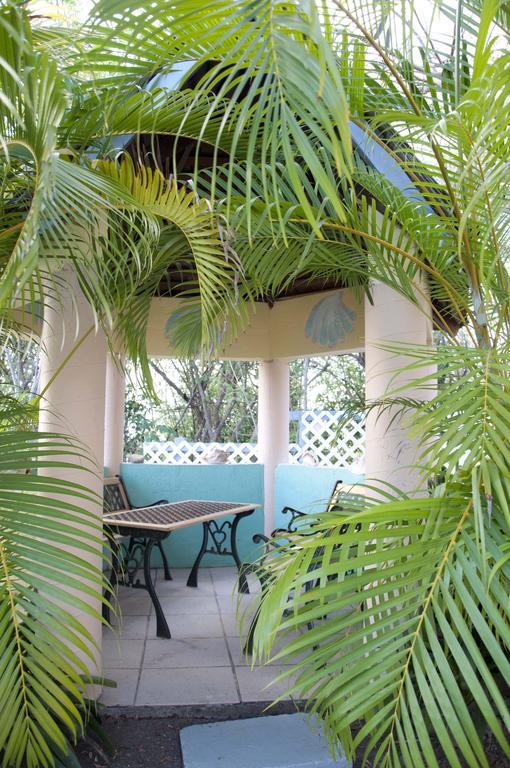 Villa Caribbean Dream Vieux Fort Εξωτερικό φωτογραφία