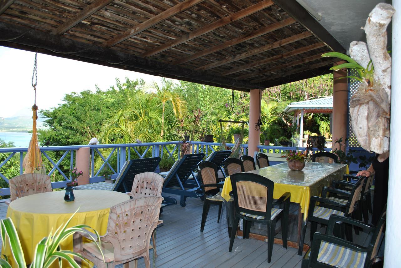 Villa Caribbean Dream Vieux Fort Εξωτερικό φωτογραφία