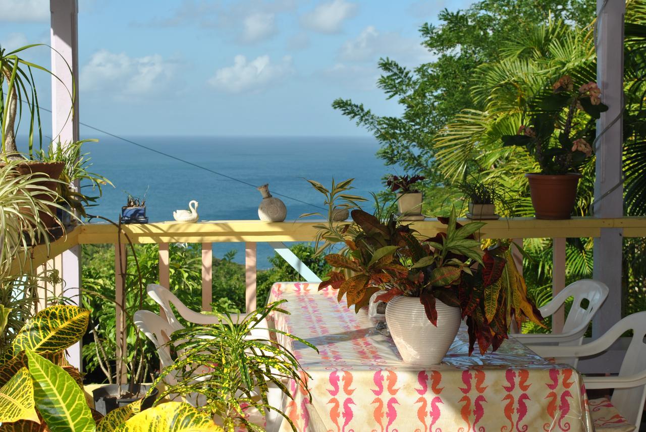 Villa Caribbean Dream Vieux Fort Εξωτερικό φωτογραφία