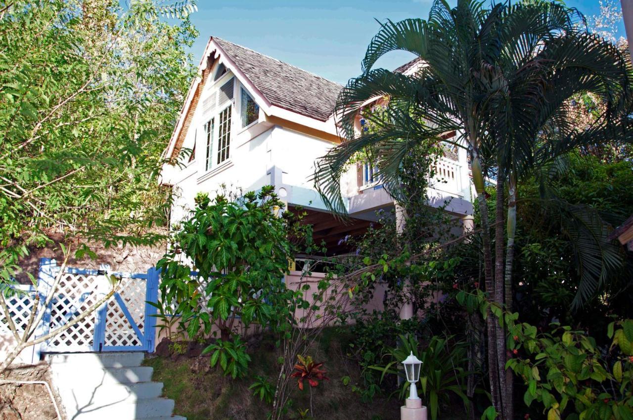 Villa Caribbean Dream Vieux Fort Εξωτερικό φωτογραφία